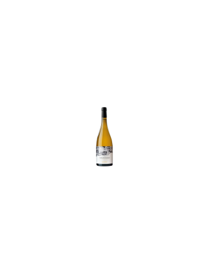 Buy Codos Larouco Godello - Vinozia