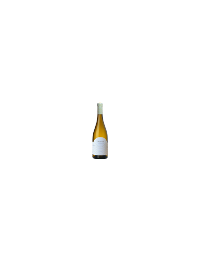 Triay Godello - DO Monterrei, Galicia | Vinozia