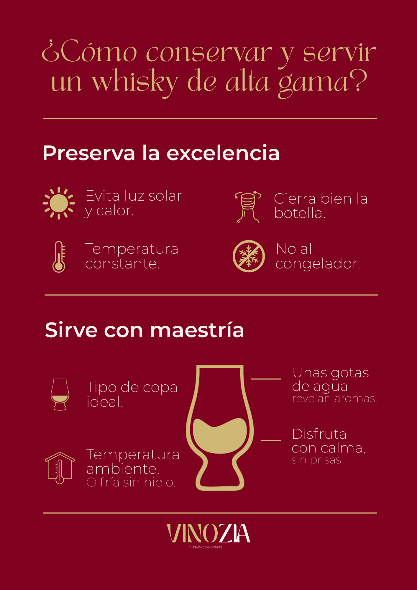 Infograf%C3%ADa%20descargable%20%20Como%20conservar%20un%20whisky---%20-%20VINOZIA%20(1).png