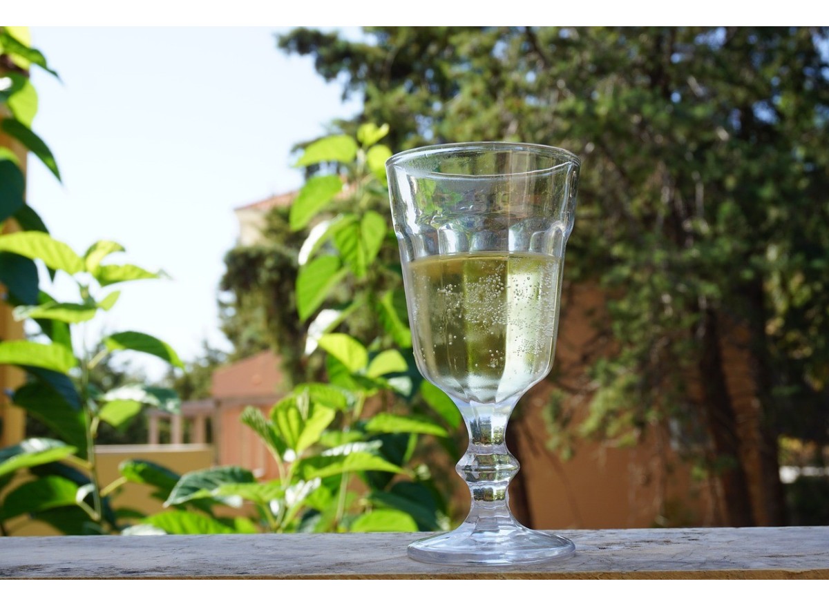 Guía de aromas y sabores del vino: Un viaje sensorial por la copa