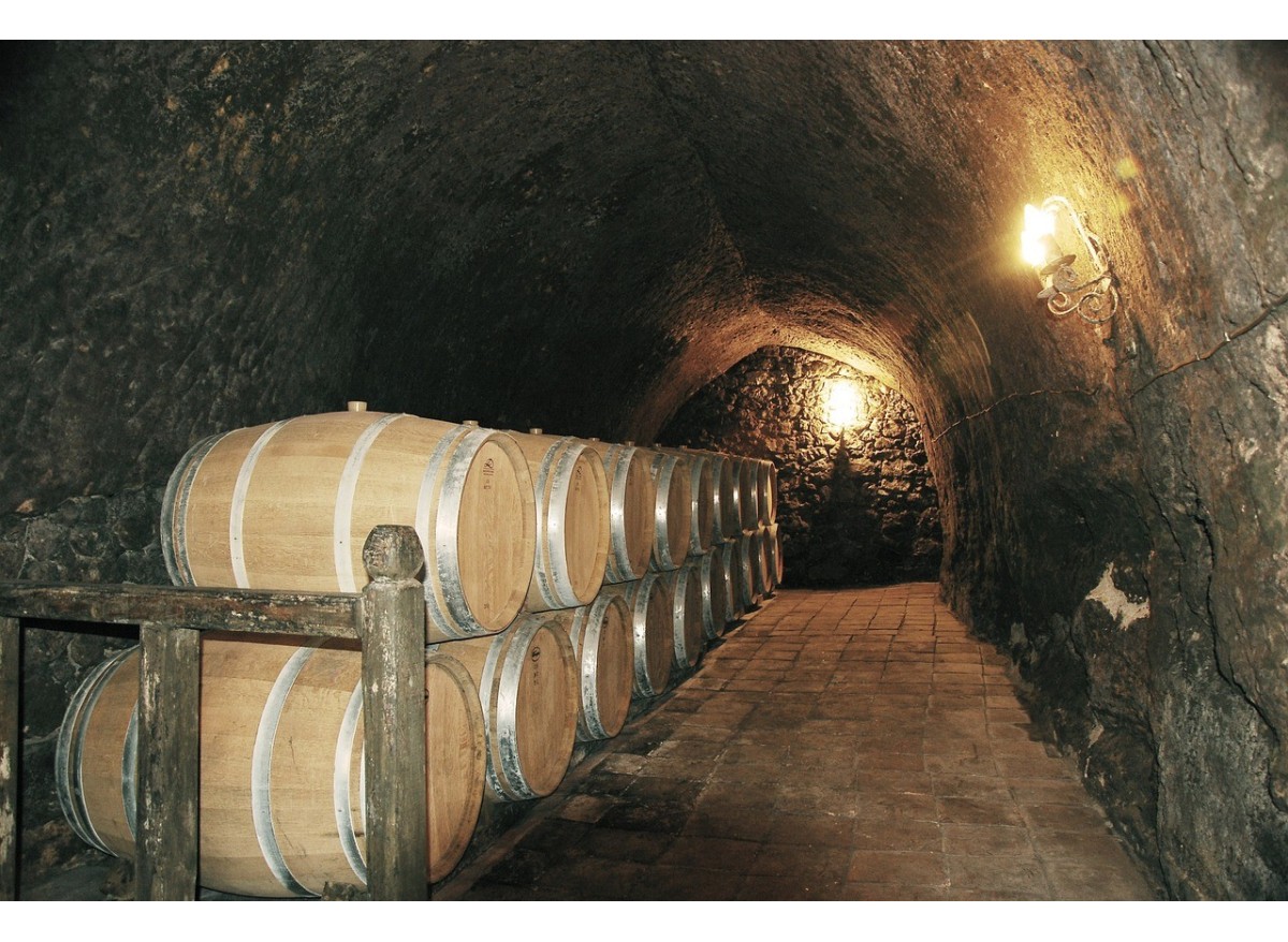 Las mejores bodegas de La Rioja para visitar y sus vinos emblemáticos